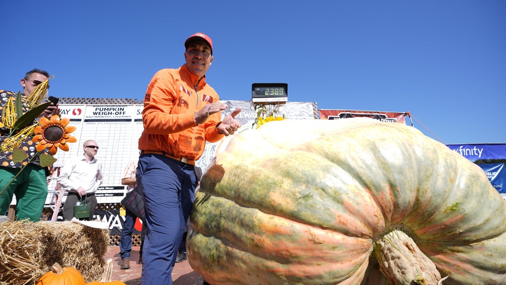 Minnesota man drives hauls giant pumpkin over 2,000 miles to California competition — CBS Bay Area (KPIX), Walnut Creek Community news