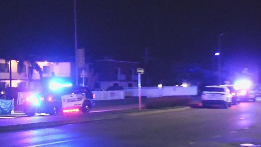 Woman accused of killing man in Dania Beach hit-and-run, BSO says — CBS Miami, Walnut Creek Community news