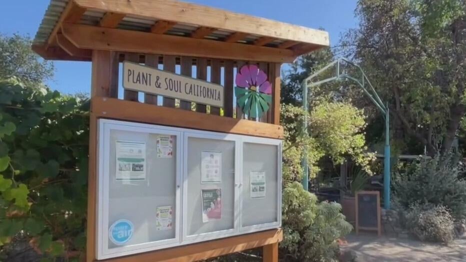 San Jose community garden told to leave as land is sold to developer — CBS Bay Area (KPIX), Walnut Creek Real Estate news