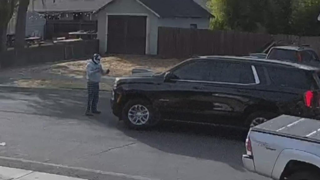 Woodland police dispute DHS account of ICE agent's collision with pedestrian — CBS Bay Area (KPIX), Walnut Creek Health news