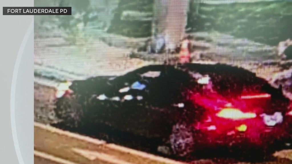 Police seek Mercedes in deadly Fort Lauderdale hit-and-run — CBS Miami, Walnut Creek Community news