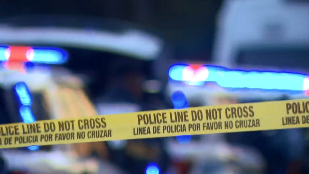 Man accused of stabbing, killing his own mother in Tamarac, BSO says — CBS Miami, Walnut Creek Health news