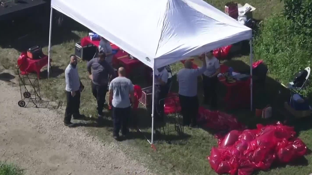 Family, friends of two men charged in Miami-Dade cockfighting case say allegations are false — CBS Miami, Walnut Creek Real Estate news