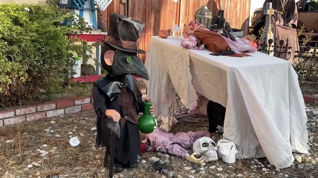 Halloween decorations worth roughly $700 stolen from San Leandro home — CBS Bay Area (KPIX), Walnut Creek Schools news