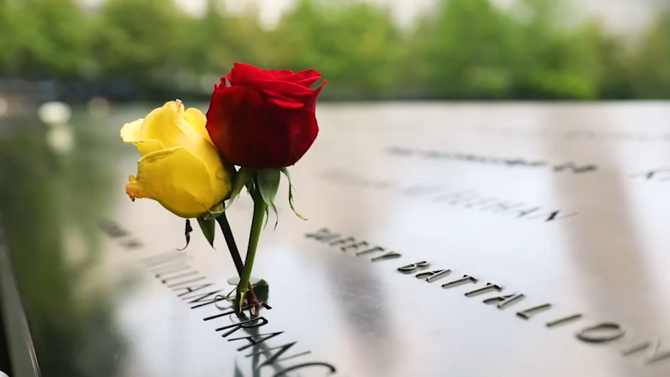 Second 9/11 victim identified with breakthrough genetic genealogy, NYC officials say
       — ABC 7 Bay Area, Walnut Creek Community news