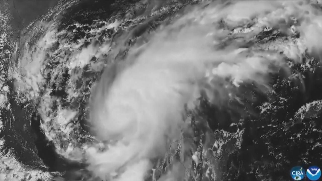 Hurricane Isaias: Residents board up windows and National Guard troops deploy as storm nears US Gulf Coast
— ABC 7 Bay Area, Walnut Creek Sports news