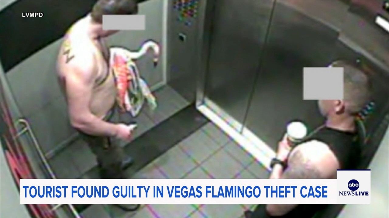 Man who snatched Peachy the flamingo from Las Vegas hotel exhibit found guilty of animal cruelty
— ABC 7 Bay Area, Walnut Creek Arts news