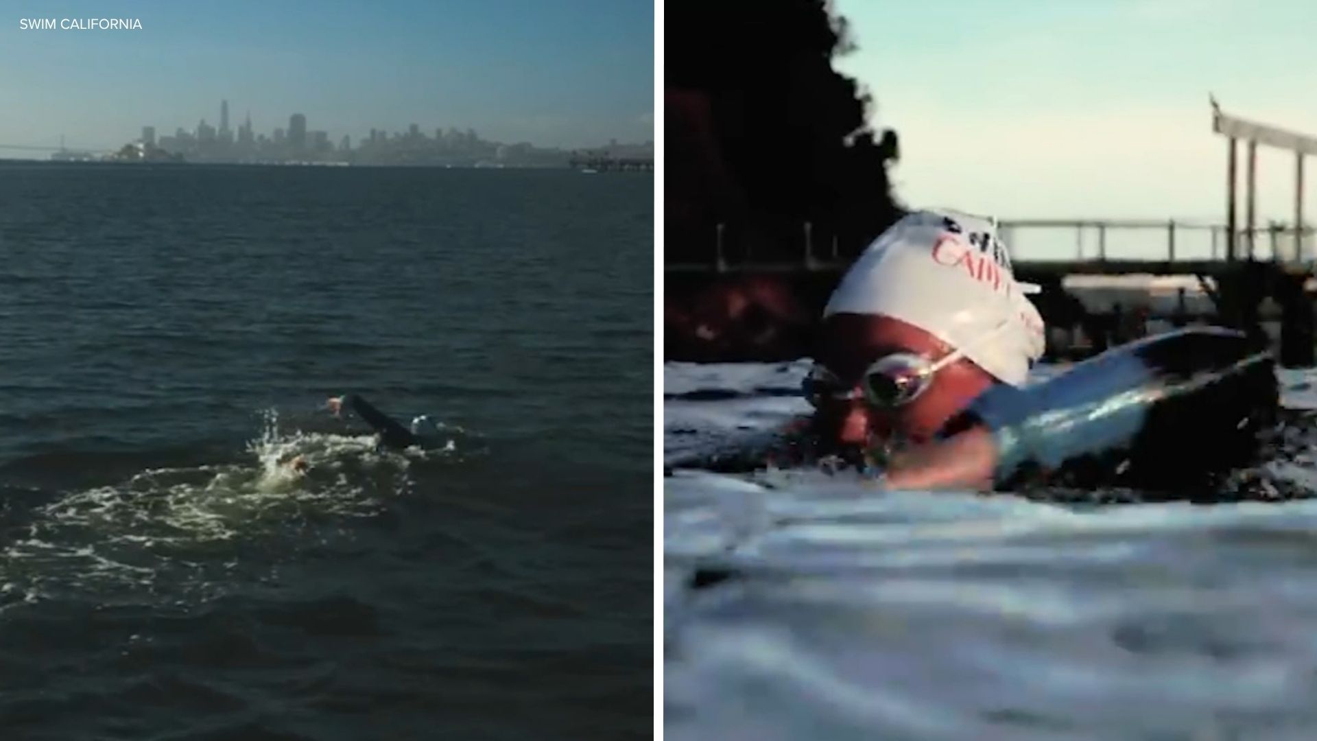 Mill Valley woman Catherine Breed becomes first person to swim entire 900-mile California coast
       — ABC 7 Bay Area, Walnut Creek Sports news