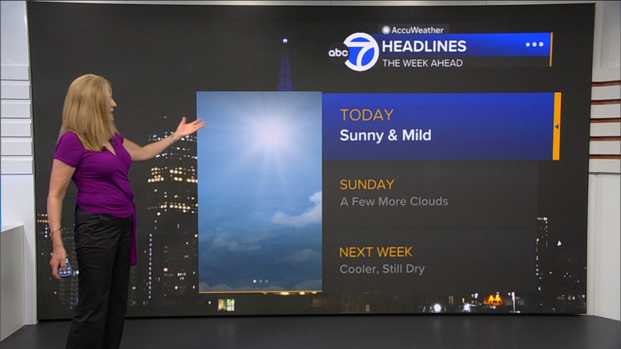 AccuWeather Forecast: Sunny and mild
— ABC 7 Bay Area, Walnut Creek Community news