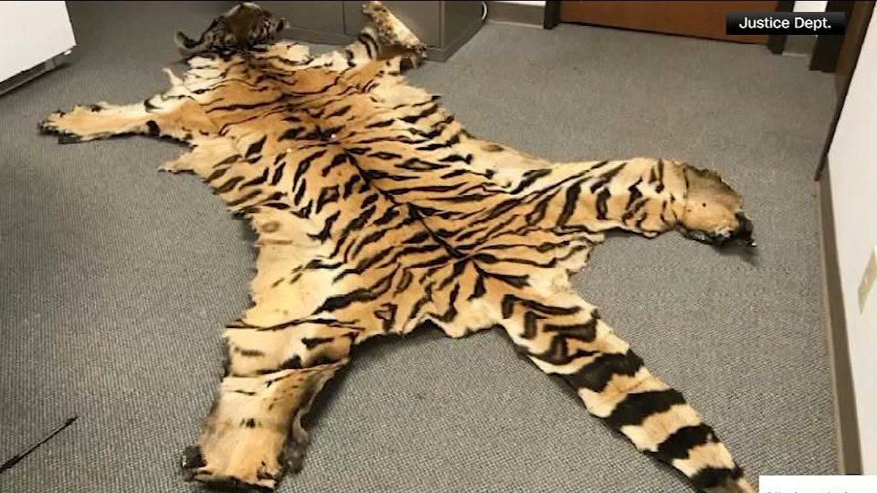 California couple pleads guilty to trafficking wildlife
— Walnut Creek Community news