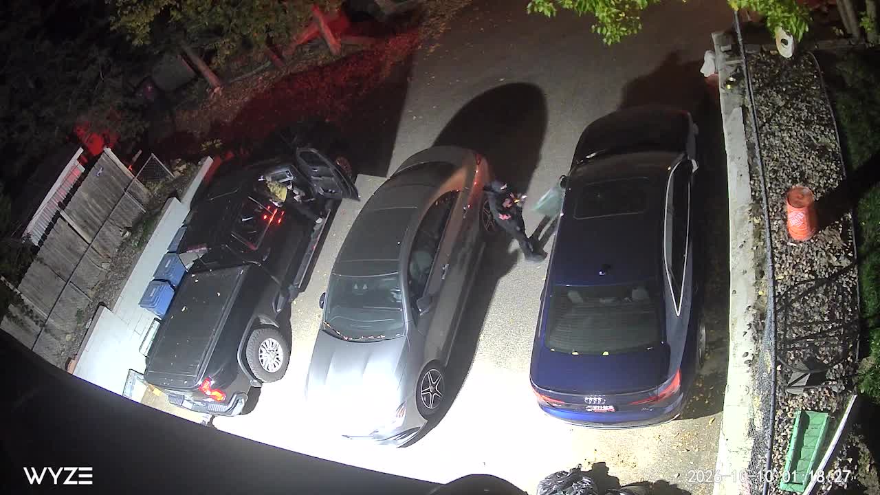 Juvenile window-smashing suspects caught on camera in south Minneapolis — KSTP 5, Walnut Creek Real Estate news