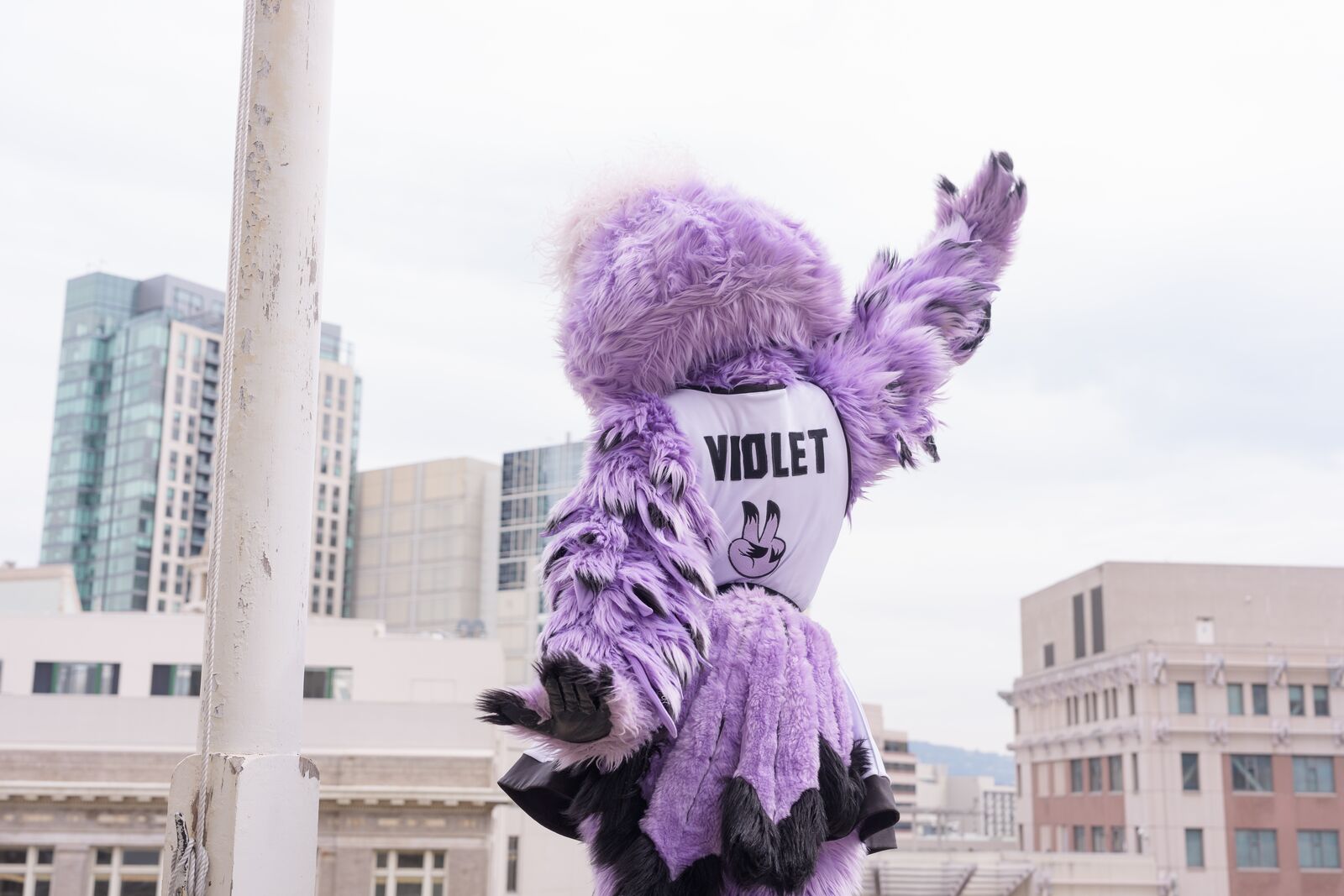This week in Oakland: an outdoor Valkyries watch party, and singersongwriter Laura Anglade at Yoshi’s — The Oaklandside, Walnut Creek Arts news