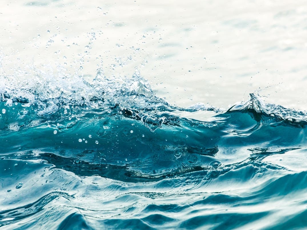 Swimmer Makes History To Protect Ocean + Girl Scout Helps People With Dementia: Saturday Smiles — San Francisco Patch