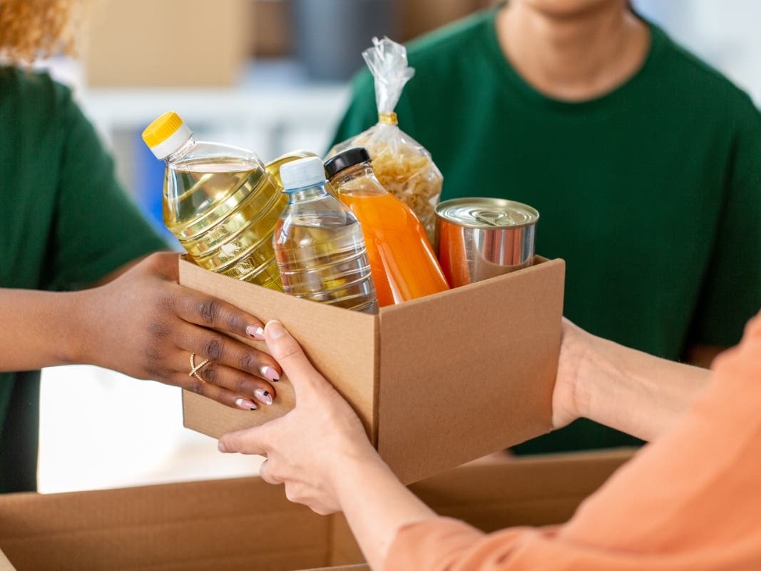 Concord Students Collect Food To Fight Hunger — Walnut Creek Schools news