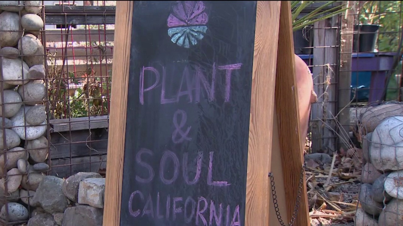 San Jose community garden faces possible eviction — KTVU FOX 2 Bay Area, Walnut Creek Schools news