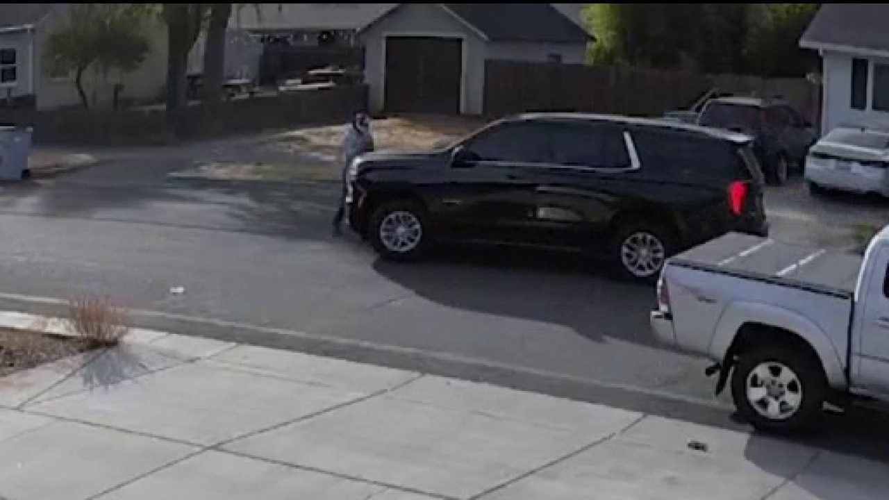 Pedestrian hit by federal immigration agent's vehicle in Yolo County — KTVU FOX 2 Bay Area, Walnut Creek Community news