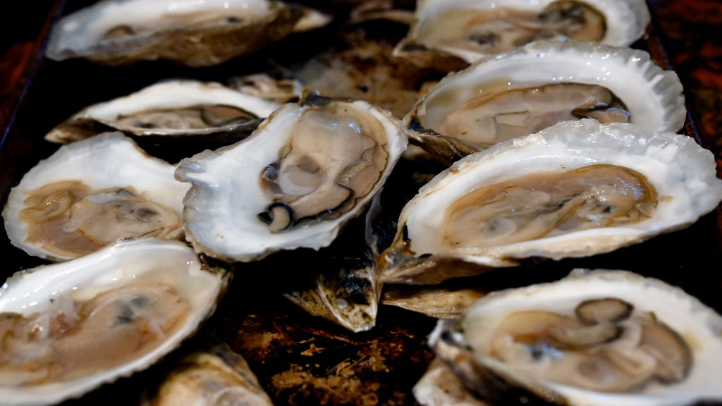 Sewage leak temporarily halts Tomales Bay oyster harvest — KTVU FOX 2 Bay Area, Walnut Creek Business news