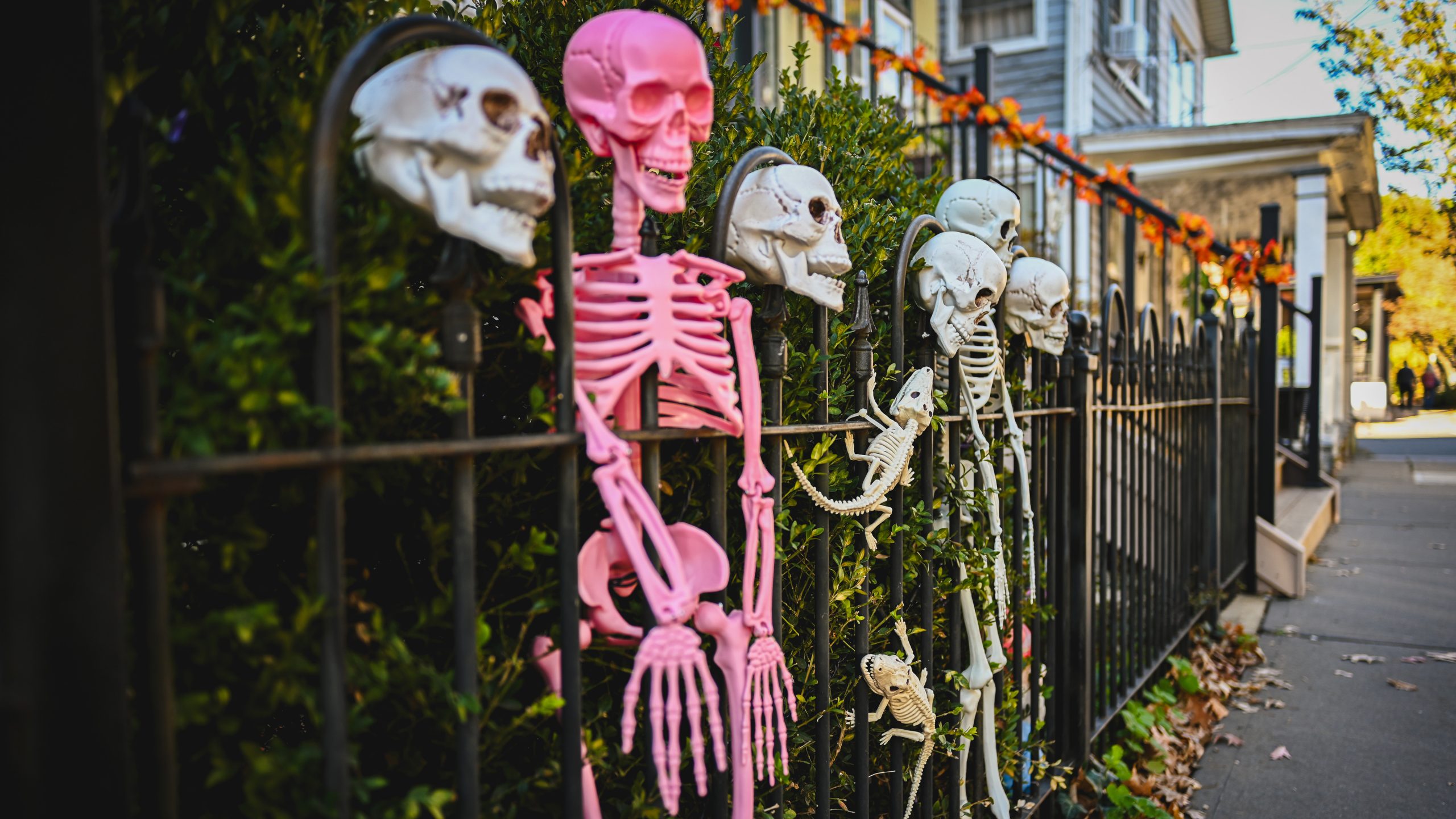 America's best cities for Halloween, ranked — KTVU FOX 2 Bay Area, Walnut Creek Community news