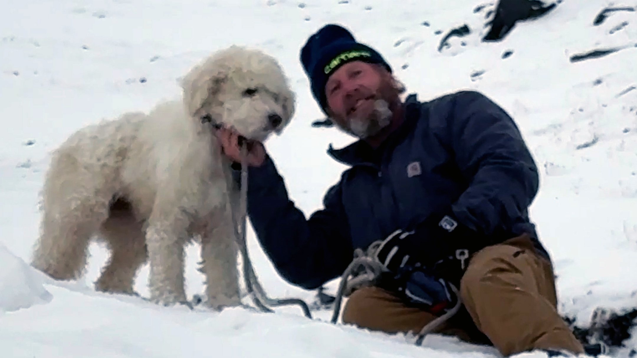 Watch: Dog lost in Alaska avalanche miraculously found 2 days later — KTVU FOX 2 Bay Area, Walnut Creek Community news